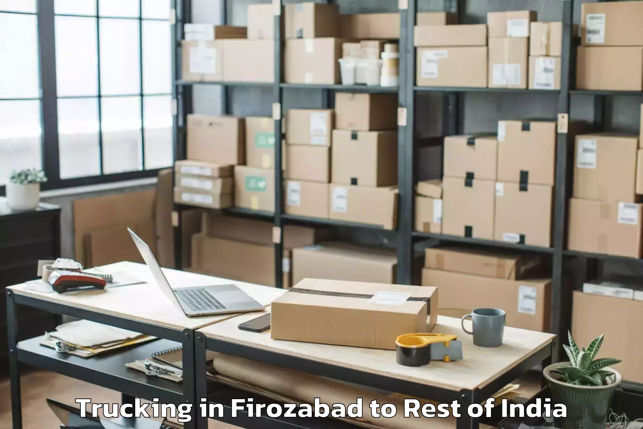 Firozabad to Badgam Trucking